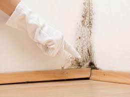 Best Mold Prevention Services  in Mexia, TX